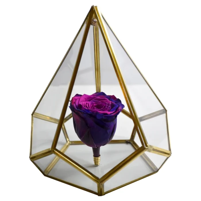 355e20430cbfaa315d6ad4b0017ac74a317ee98e_1610956677