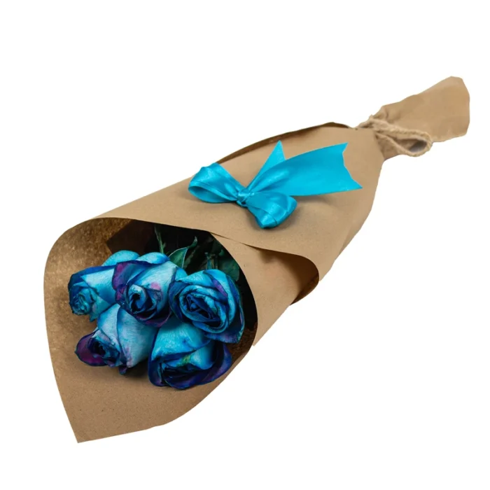 9eacff4bbf0764716fa79aeb17af599b7211ffea_1609398371